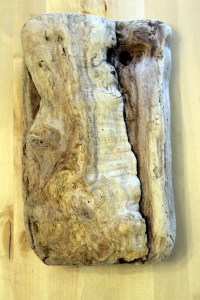 Driftwood Art  I  Put it on a stick